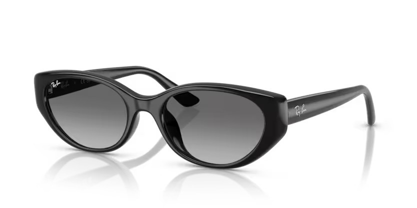 Ray-Ban zonnebril 4457D 667711 – Zwart