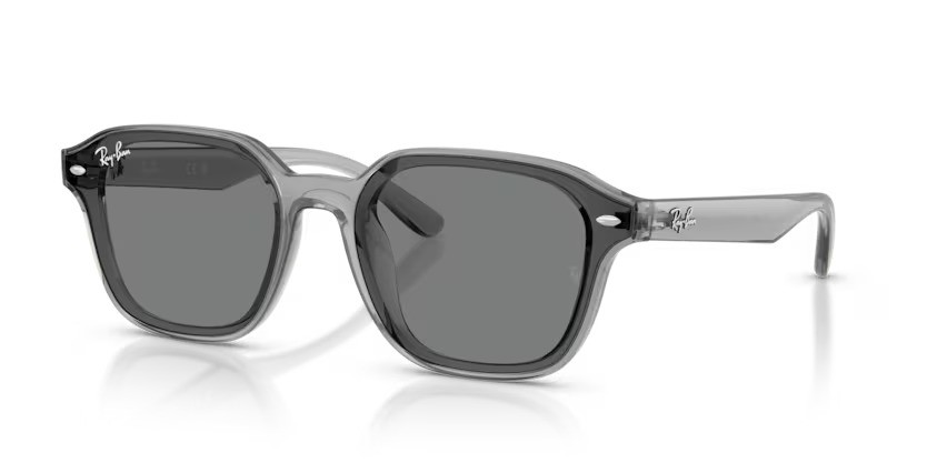 Ray-Ban zonnebril 4458D 645087 – Transparant grijs