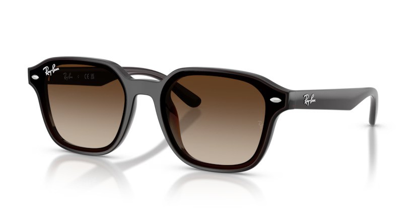 Ray-Ban zonnebril 4458D 714/13 – Transparant donkerbruin