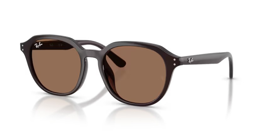 Ray-Ban zonnebril 4459D 623173 – Opaal bruin