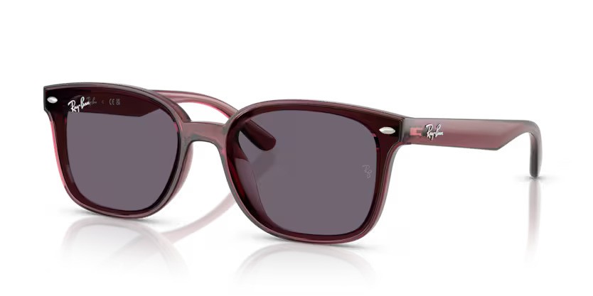 Ray-Ban zonnebril 4461D 659373 – Transparant donkerbruin