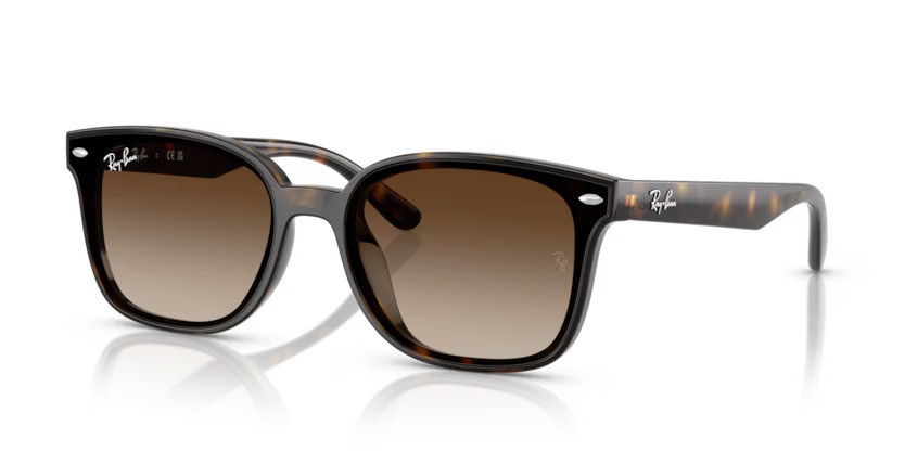 Ray-Ban zonnebril 4461D 710/13 – Havana